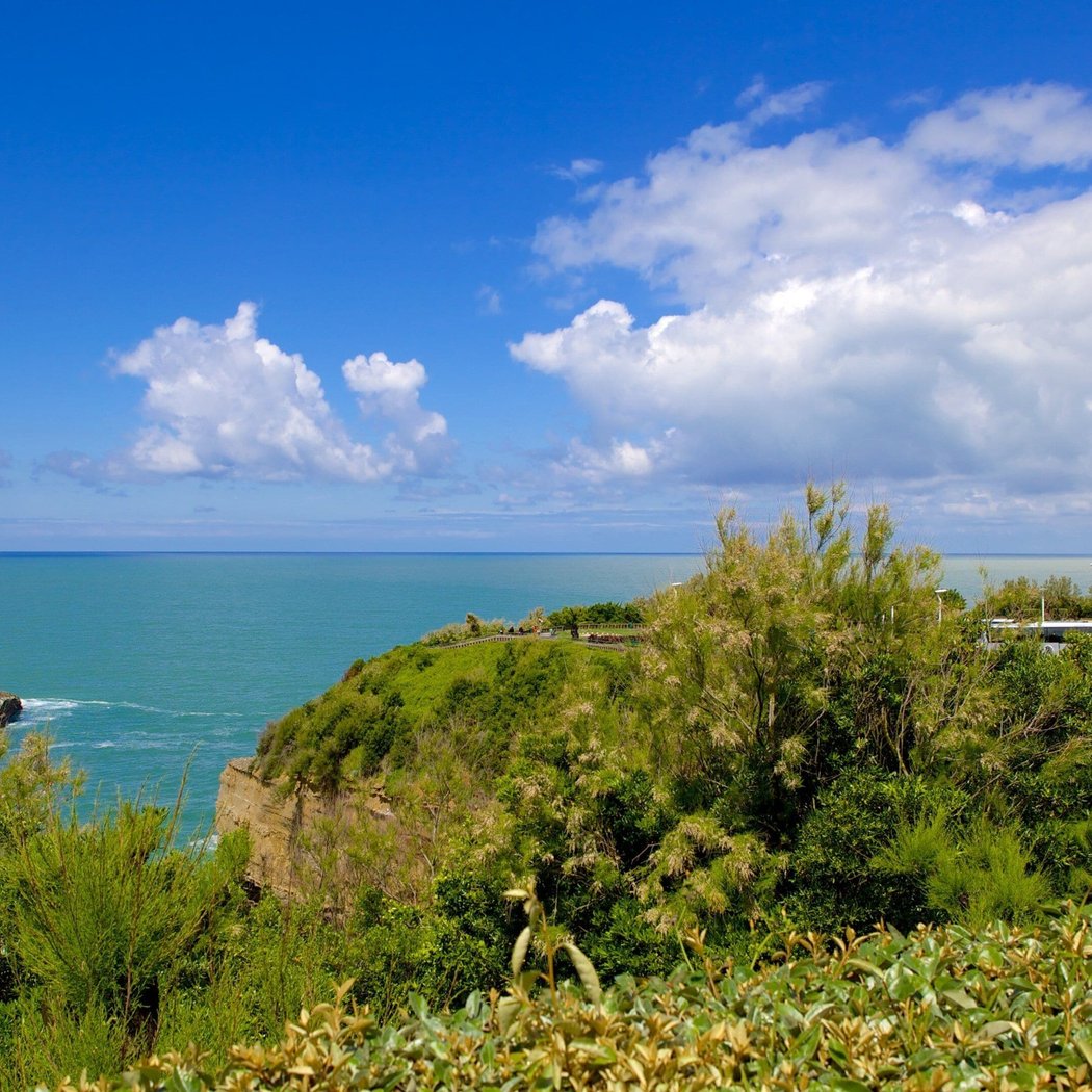 Biarritz Lighthouse Visit 4